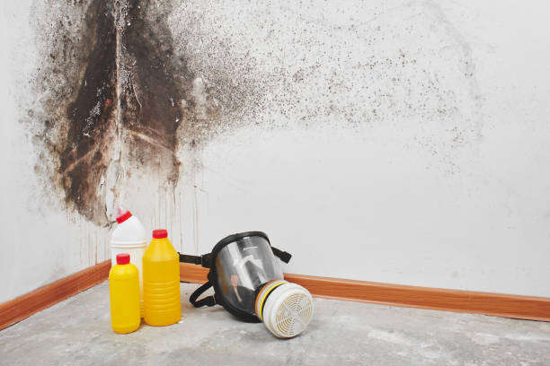 Best Crawl Space Mold Removal  in Marlboro Village, MD