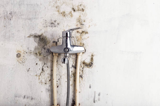 Best Mold Testing  in Marlboro Village, MD