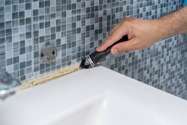 Best Professional Mold Removal  in Marlboro Village, MD